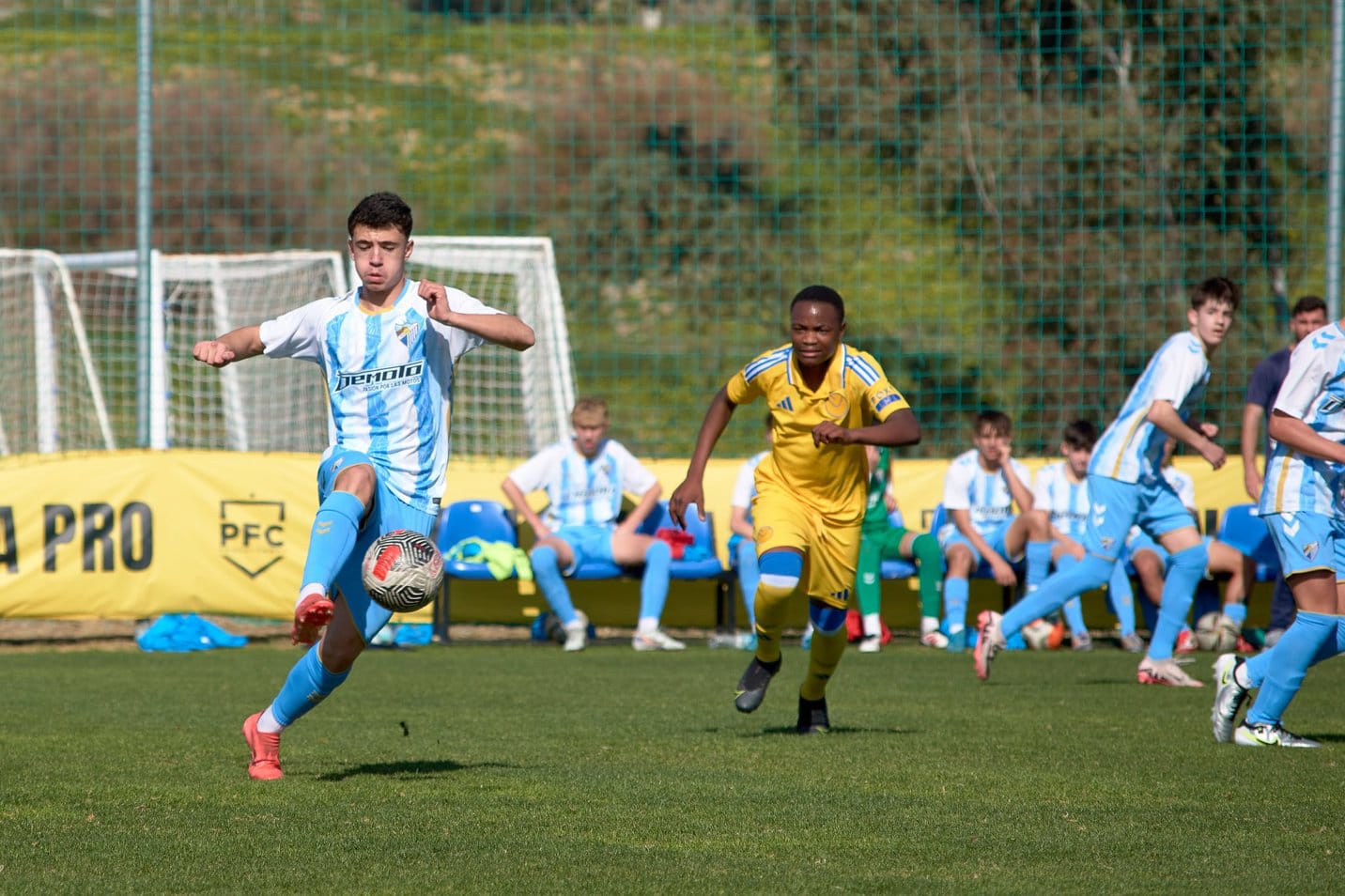 阳光海岸国际杯